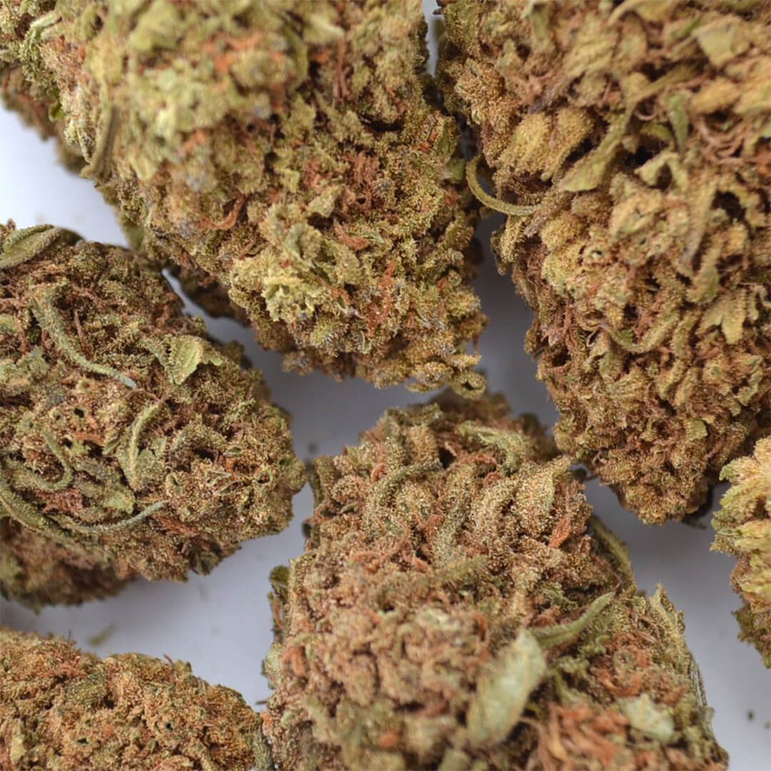GREEN WEED COKE LSD MDMA COLD