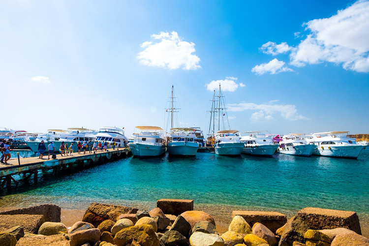 Fishing charters Queensland